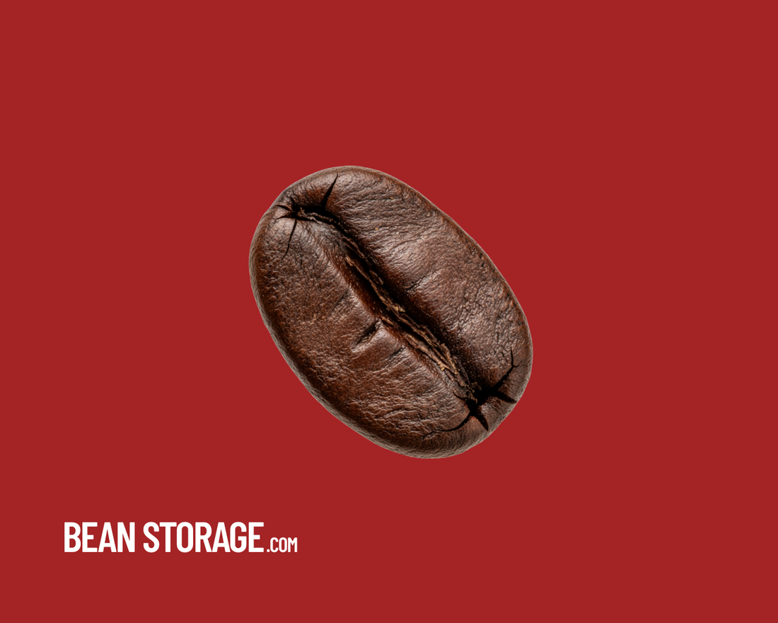 Understanding Coffee Bean Freshness How To Stop coffee From Ageing Basic Coffee Storage - Bean Storage Coffee Bean Storage