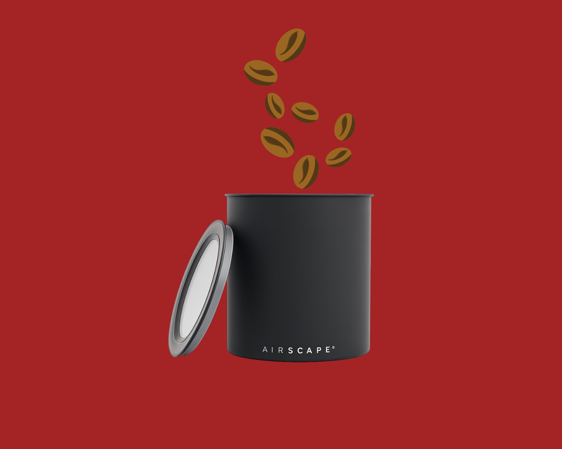 How To Store Coffee Beans Correctly Basic Coffee Storage Airscape Coffee Canister Bean Storage Methods Brew Gear For Coffee Beans