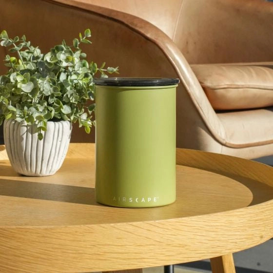 Airscape Matte Lichen Bean Storage coffee bean storage canister Green cylindrical container with black lid on a wooden table with a plant and leather couch in the background